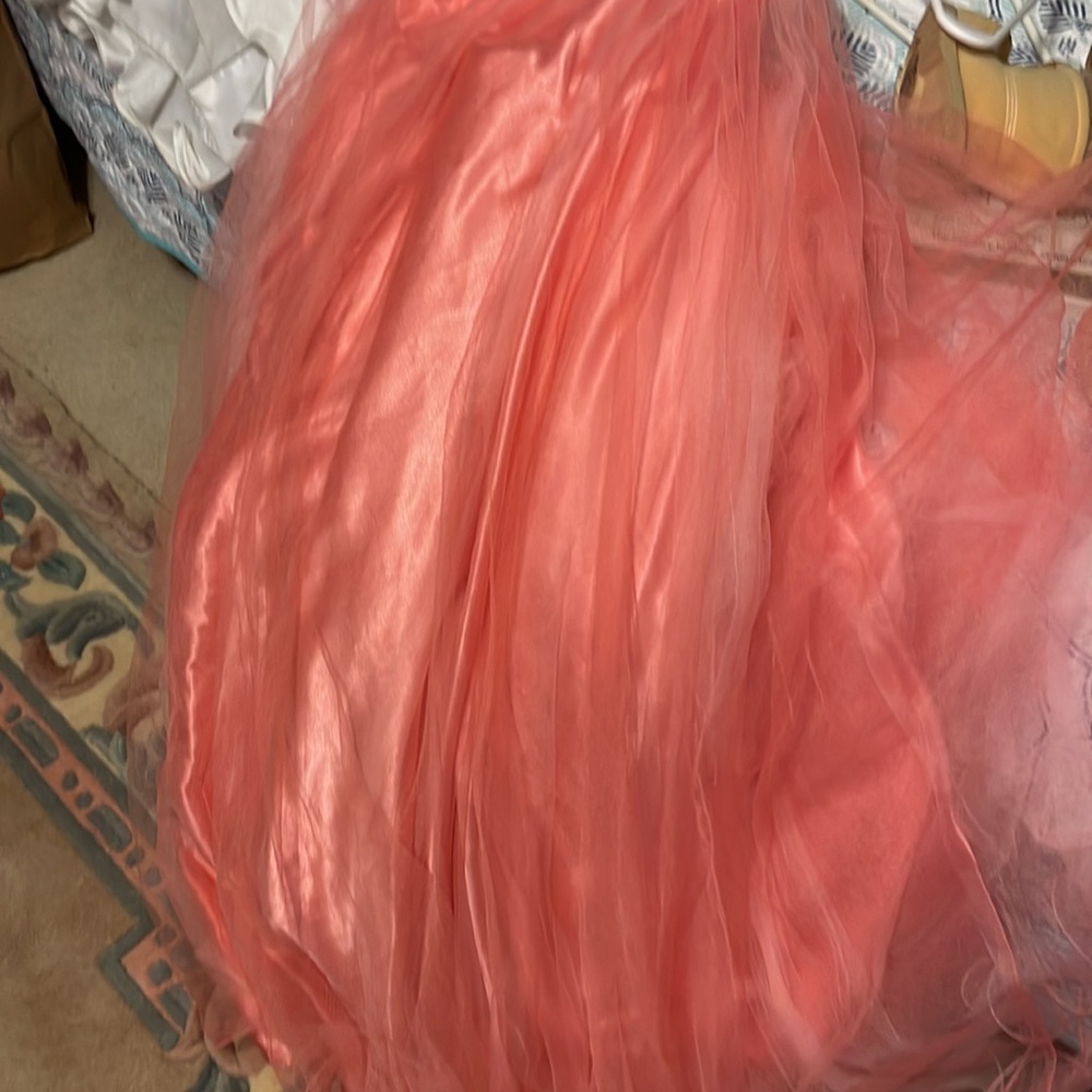 Prom Dress - Picture 8 of 14